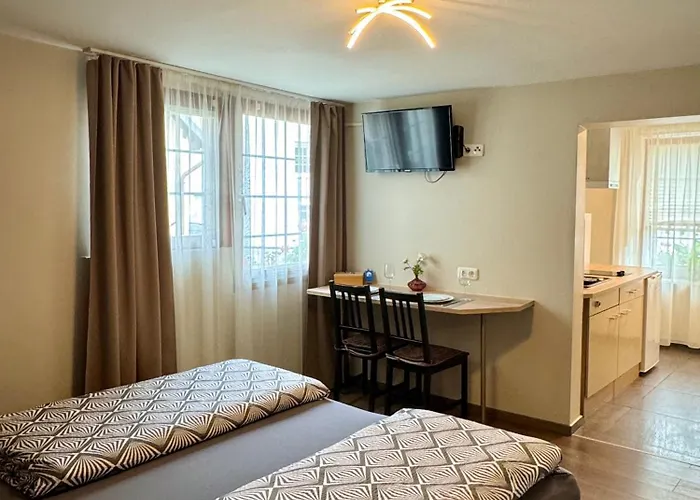 Am Brunnen Апартаменты Рюдесхайм-на-Рейне